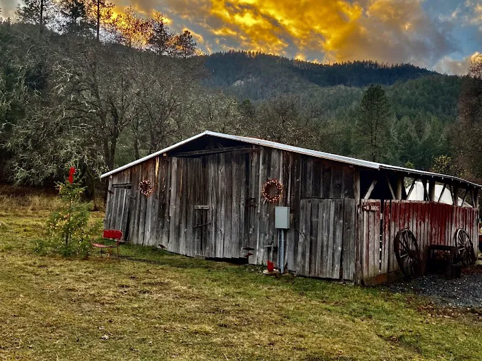 CAMP COWGIRL Picture 9