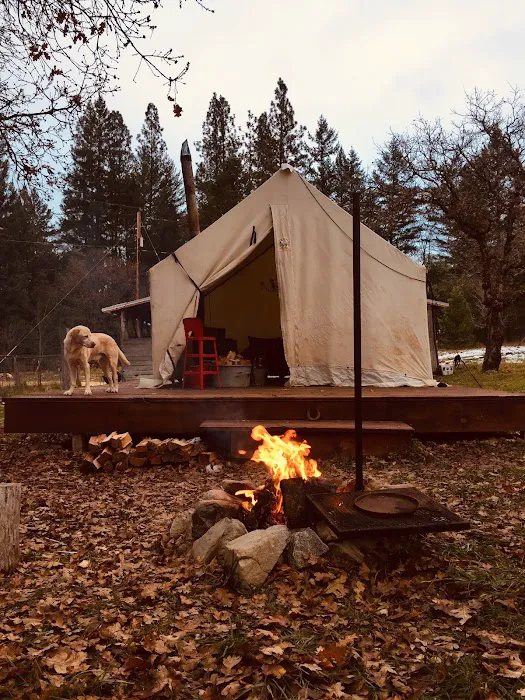 CAMP COWGIRL Picture 10