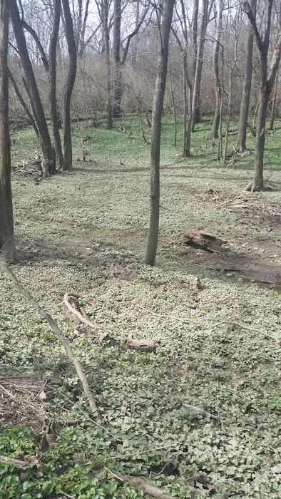 Harmony Pointe Mobile Home Park Picture 6