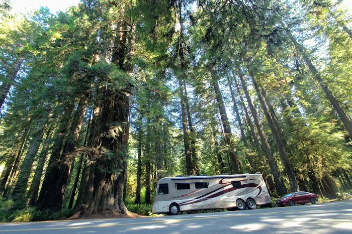 Redwood Hwy Campground Picture 9