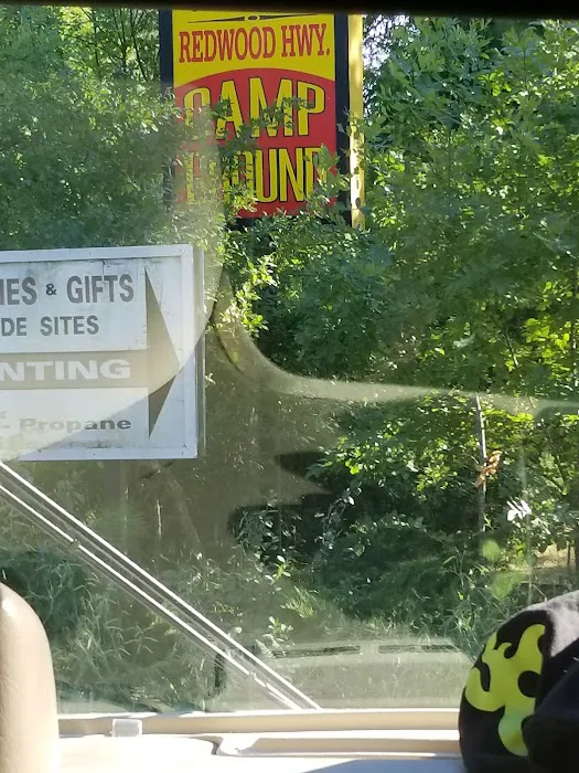 Redwood Hwy Campground Picture 3