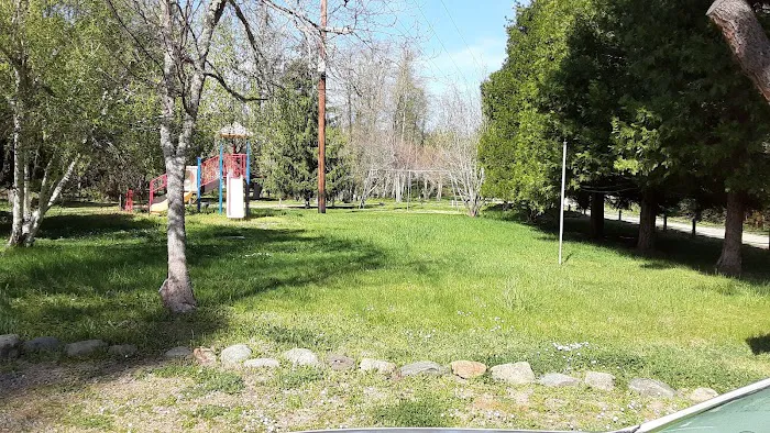 Redwood Hwy Campground Picture 7