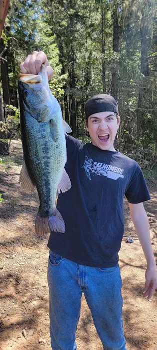 Resort At Lake Selmac Picture 6