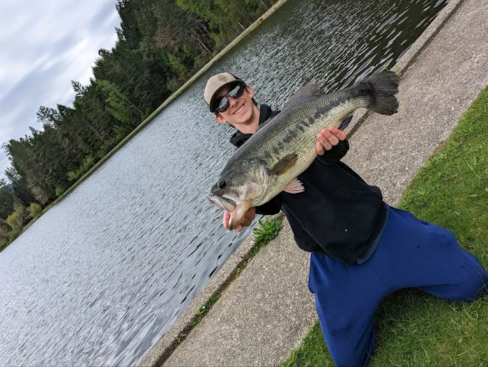 Resort At Lake Selmac Picture 7