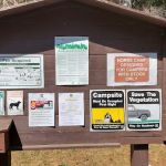 Sam Brown Horse Camp