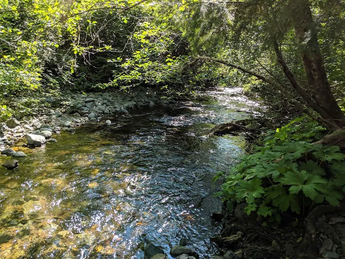 Sam Brown Horse Camp Picture 3