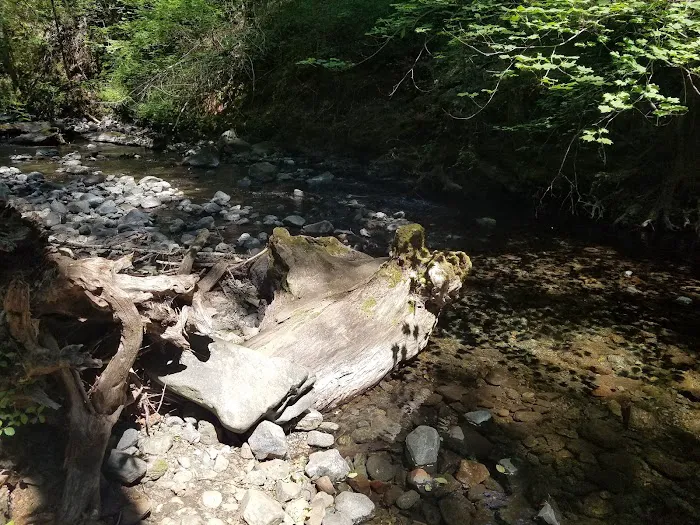 Sam Brown Horse Camp Picture 8