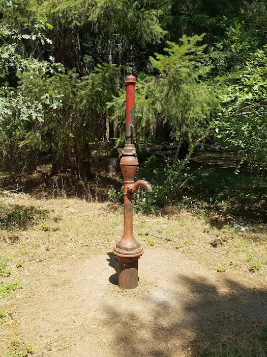 Sam Brown Horse Camp Picture 10