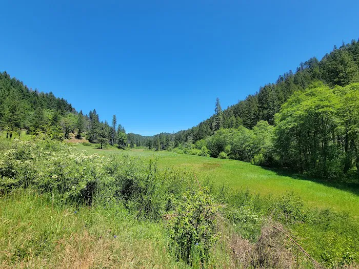 Sam Brown Horse Camp Picture 9