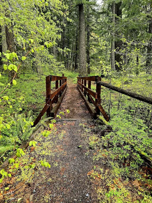 Secret Creek Campground Picture 10