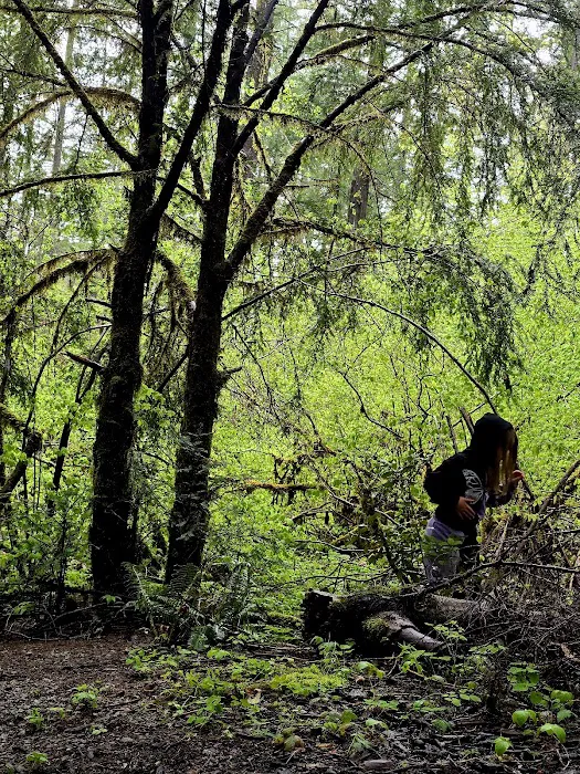 Secret Creek Campground Picture 8