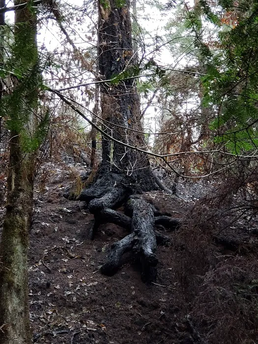 Secret Creek Campground Picture 6