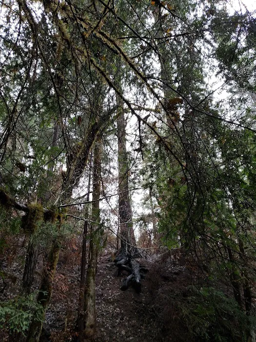 Secret Creek Campground Picture 7