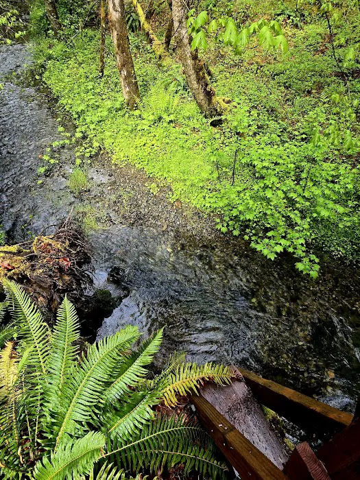 Secret Creek Campground Picture 3