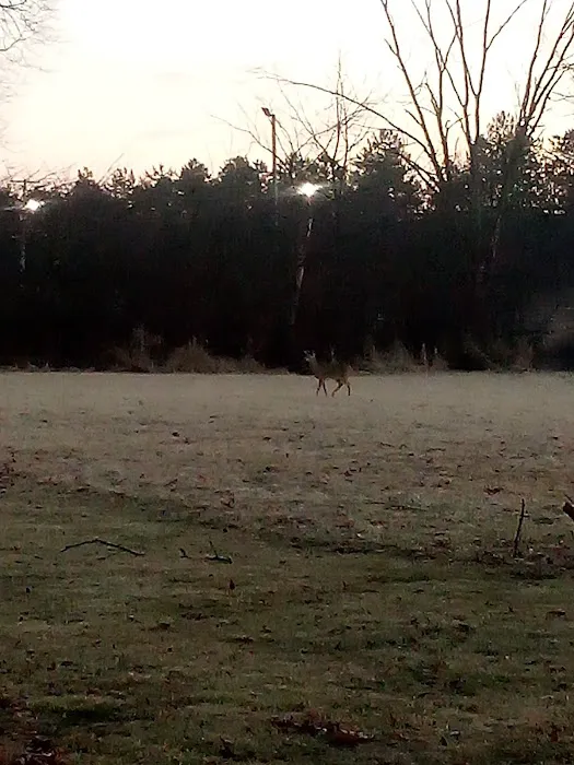 Olwine Mobile Home Park Picture 2