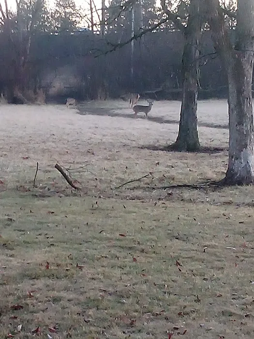 Olwine Mobile Home Park Picture 1