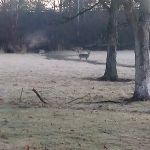 Olwine Mobile Home Park