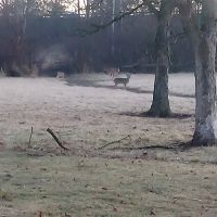 Olwine Mobile Home Park ico