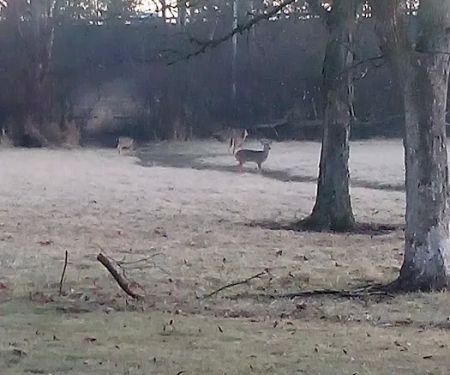 Olwine Mobile Home Park