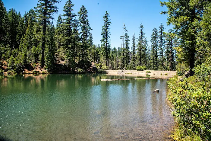 Spalding Pond Campground Picture 4