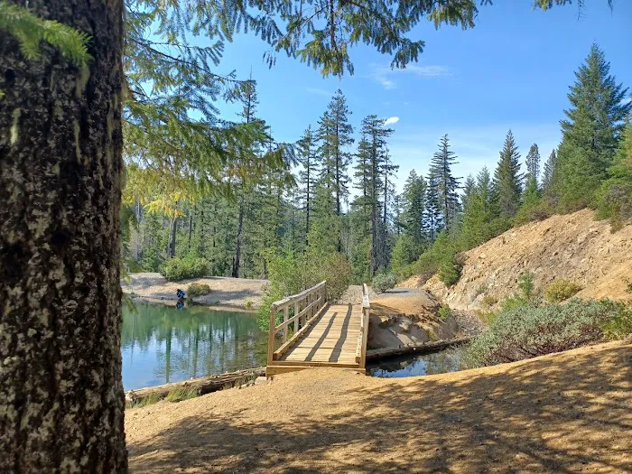 Spalding Pond Campground Picture 1