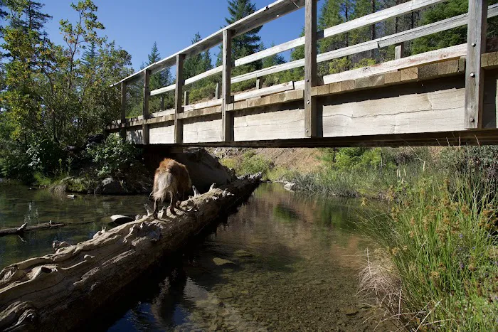 Spalding Pond Campground Picture 2
