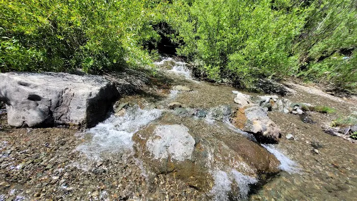 Six Mile Campground Picture 6