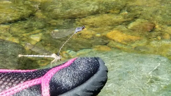 Six Mile Campground Picture 2