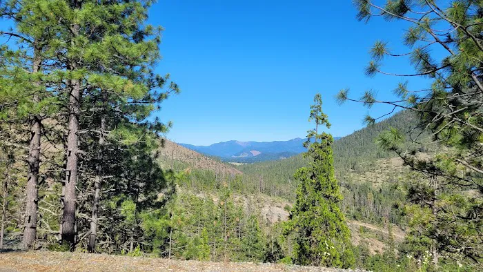 Six Mile Campground Picture 4