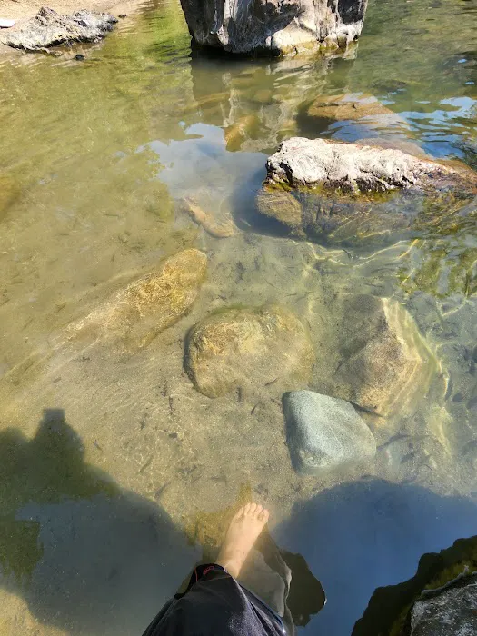 Six Mile Campground Picture 1