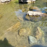 Six Mile Campground ico