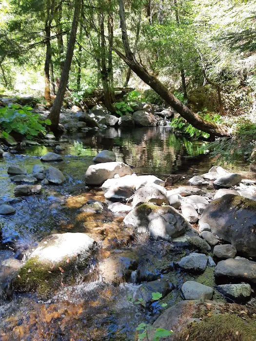 Six Mile Campground Picture 10