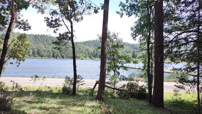 Osprey loop campground at Lake Selmac Picture 2