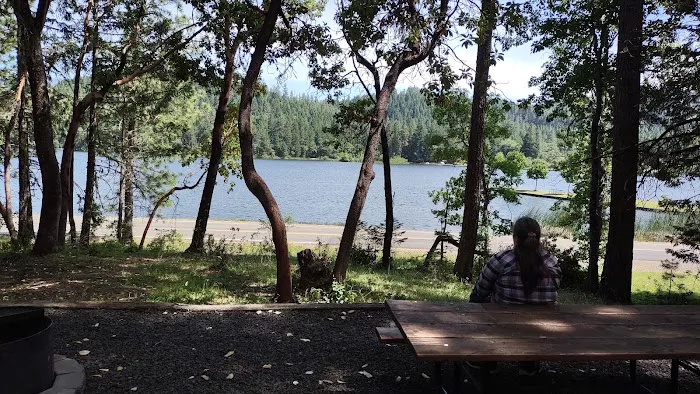 Osprey loop campground at Lake Selmac Picture 3