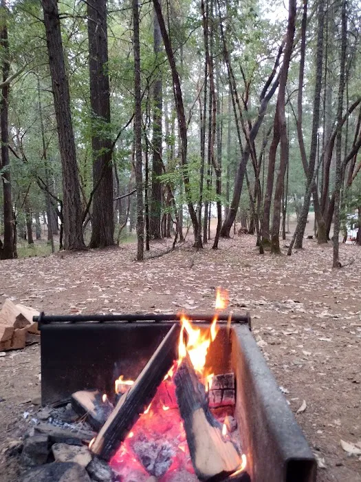Osprey loop campground at Lake Selmac Picture 8