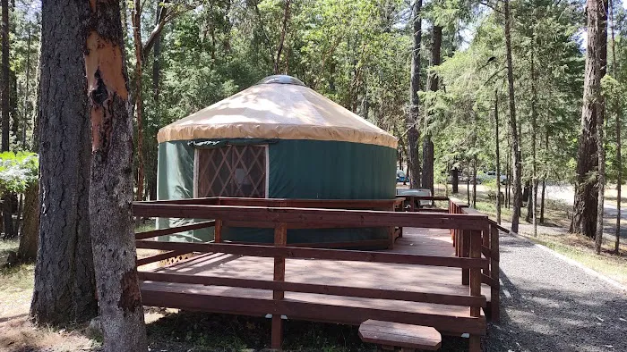 Osprey loop campground at Lake Selmac Picture 5