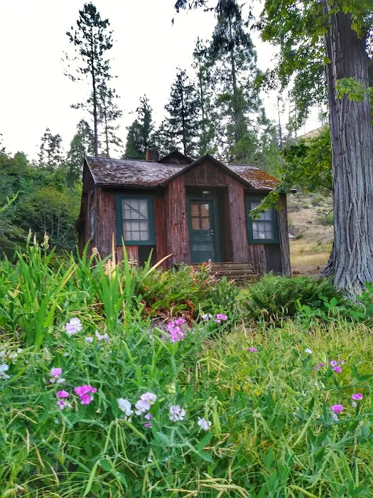 Store Gulch Campground Picture 2