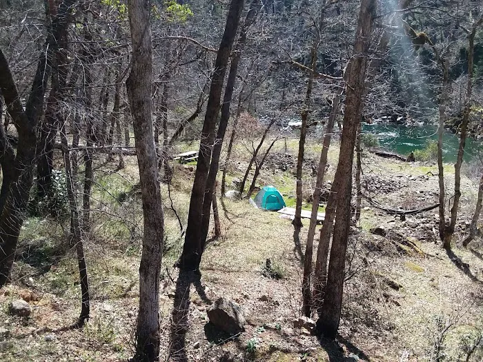 Store Gulch Campground Picture 4