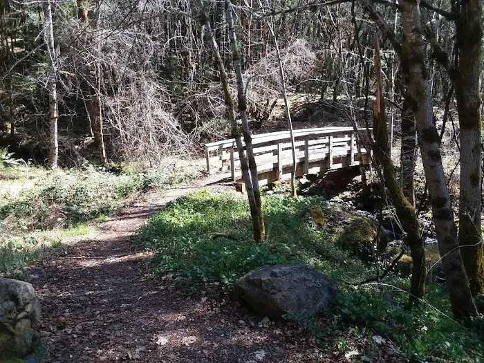 Store Gulch Campground Picture 9