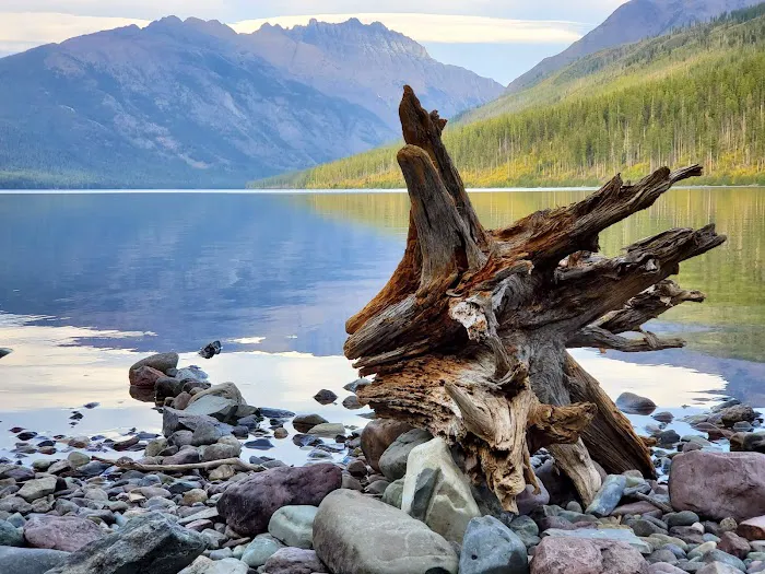 Kintla Lake Picture 4