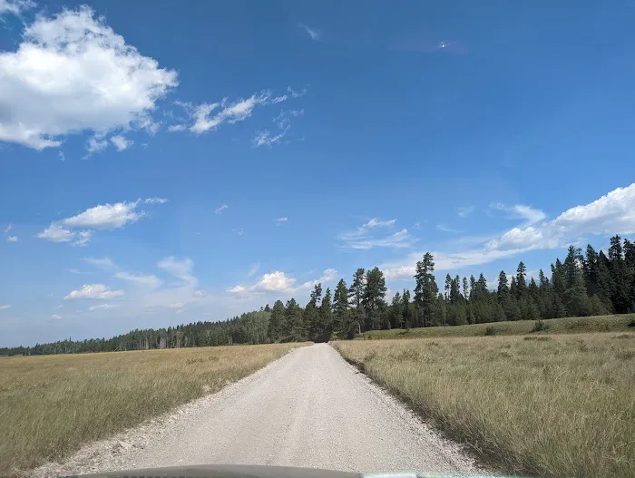 Kintla Lake Picture 8