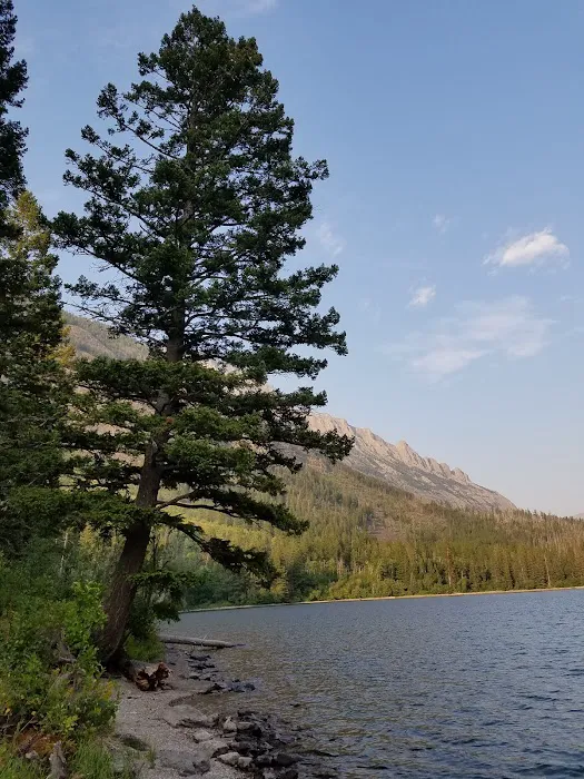 Kintla Lake Head Campground Picture 1