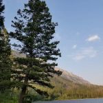 Kintla Lake Head Campground