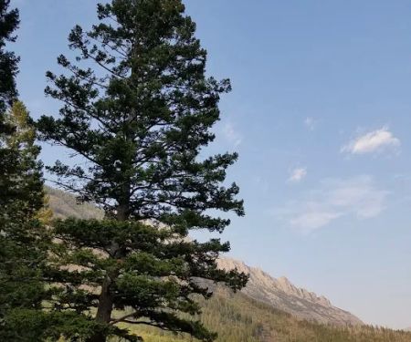 Kintla Lake Head Campground