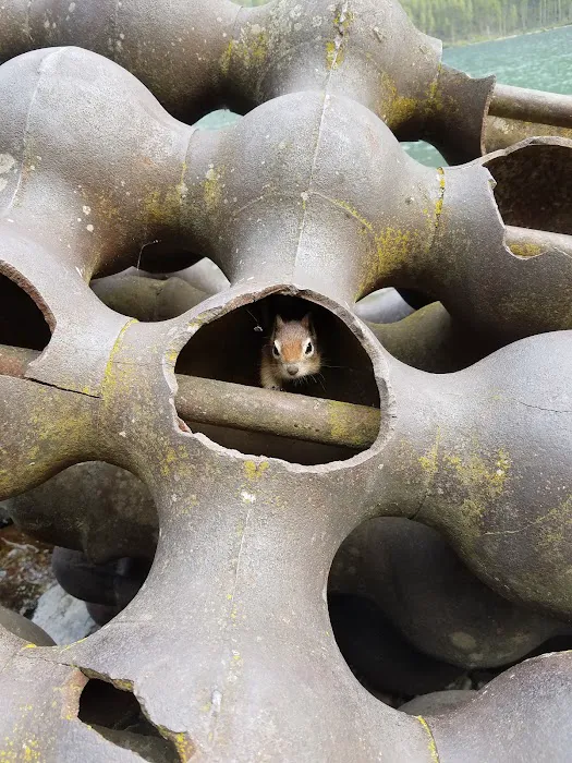 Kintla Lake Head Campground Picture 7