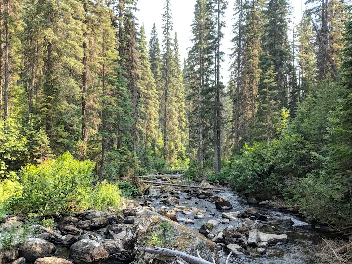 Akokala Lake Campground Picture 2