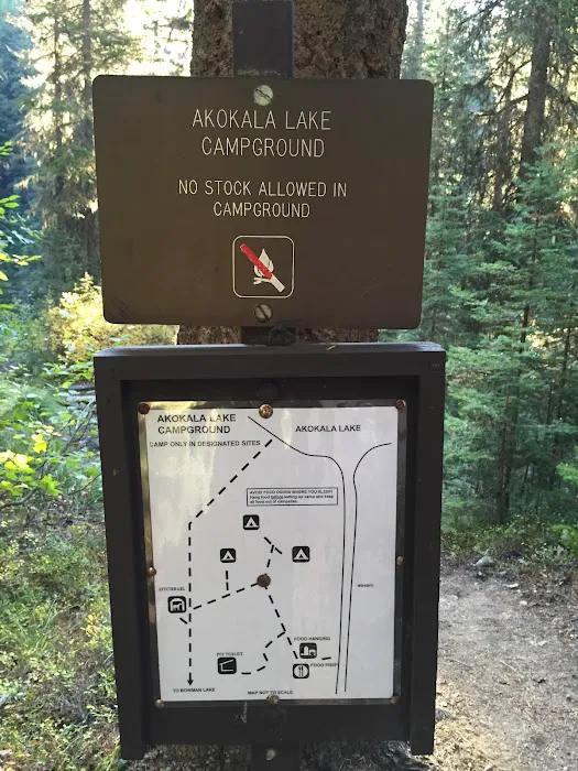 Akokala Lake Campground Picture 6