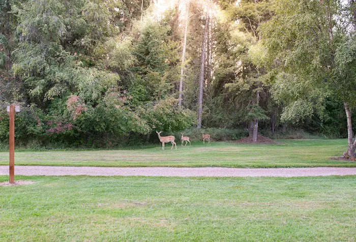 Mission Meadows Camping & RV Park Picture 1