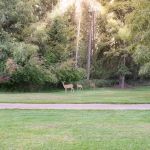 Mission Meadows Camping & RV Park
