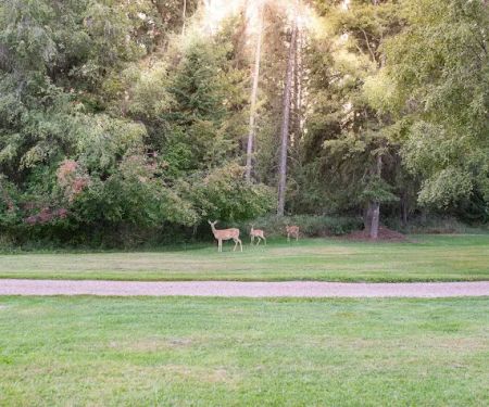 Mission Meadows Camping & RV Park